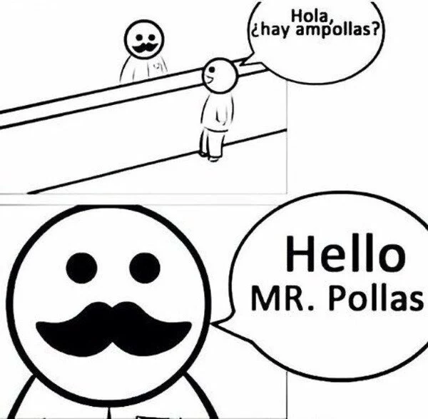 mr pollas .webp