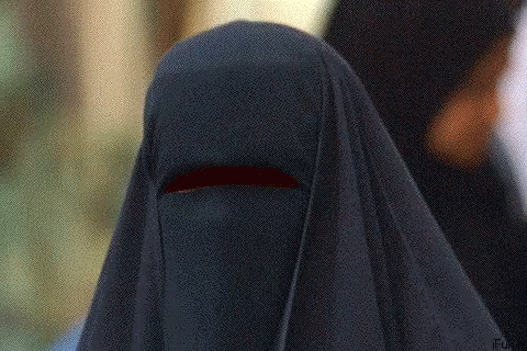 muslim-knight-rider.gif
