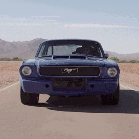 mustangs.gif
