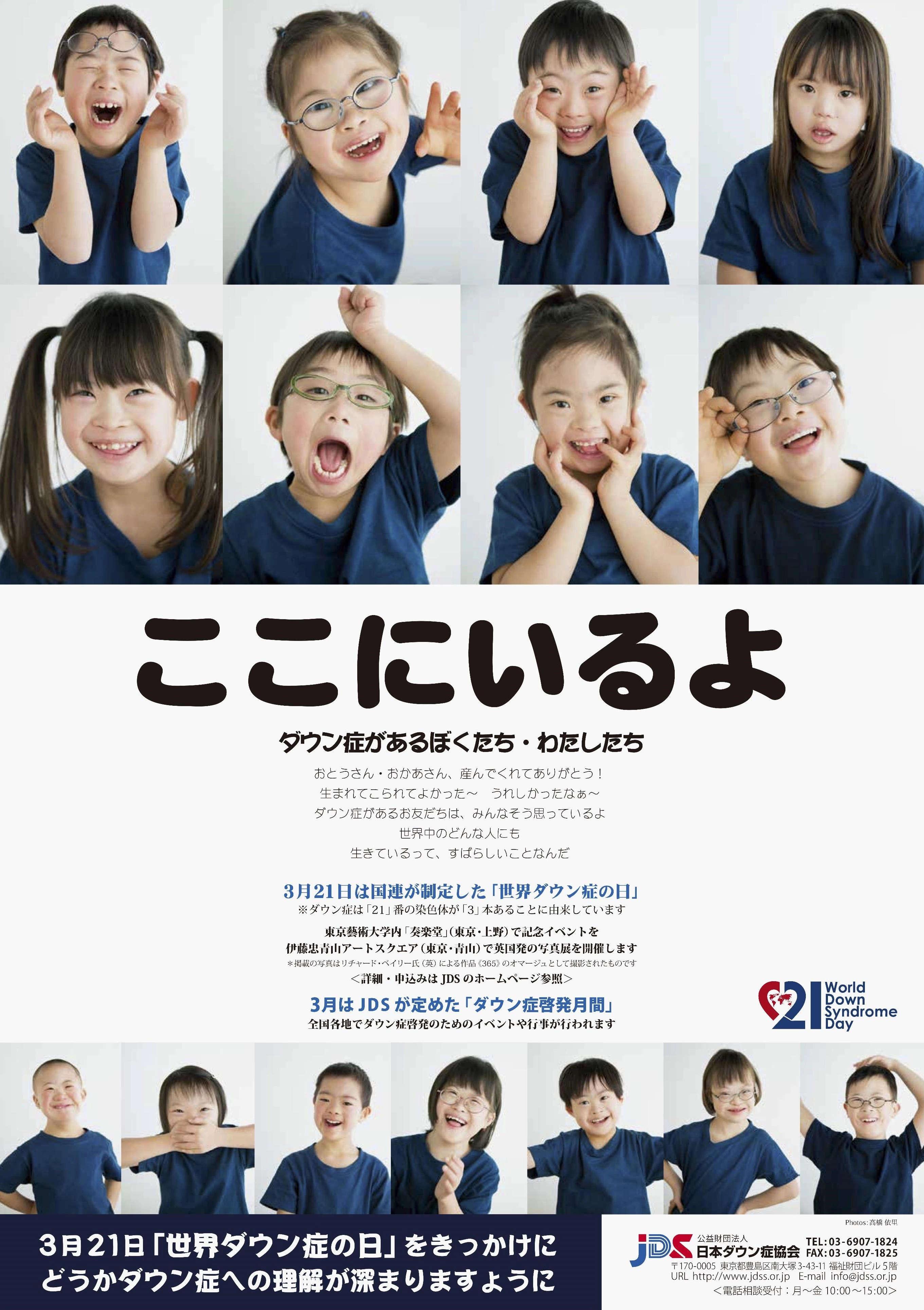 n-survey-a-20151209.webp