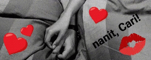 nanit-cari-nessquirrel.gif
