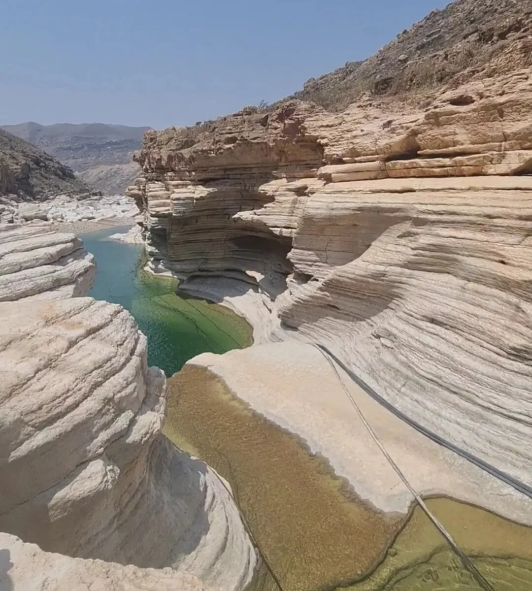 natural-swimming-pools.jpg