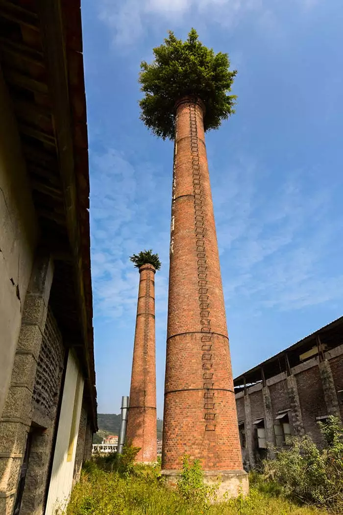 Naturaleza_1_fotografia_lugares-abandonados_planeta_ecologia_vida.webp