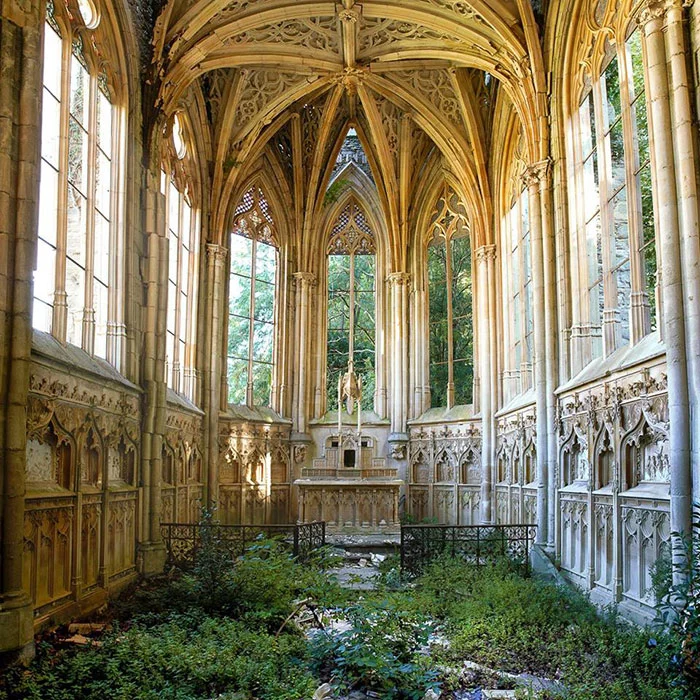 Naturaleza_3_fotografia_lugares-abandonados_planeta_ecologia_vida.webp