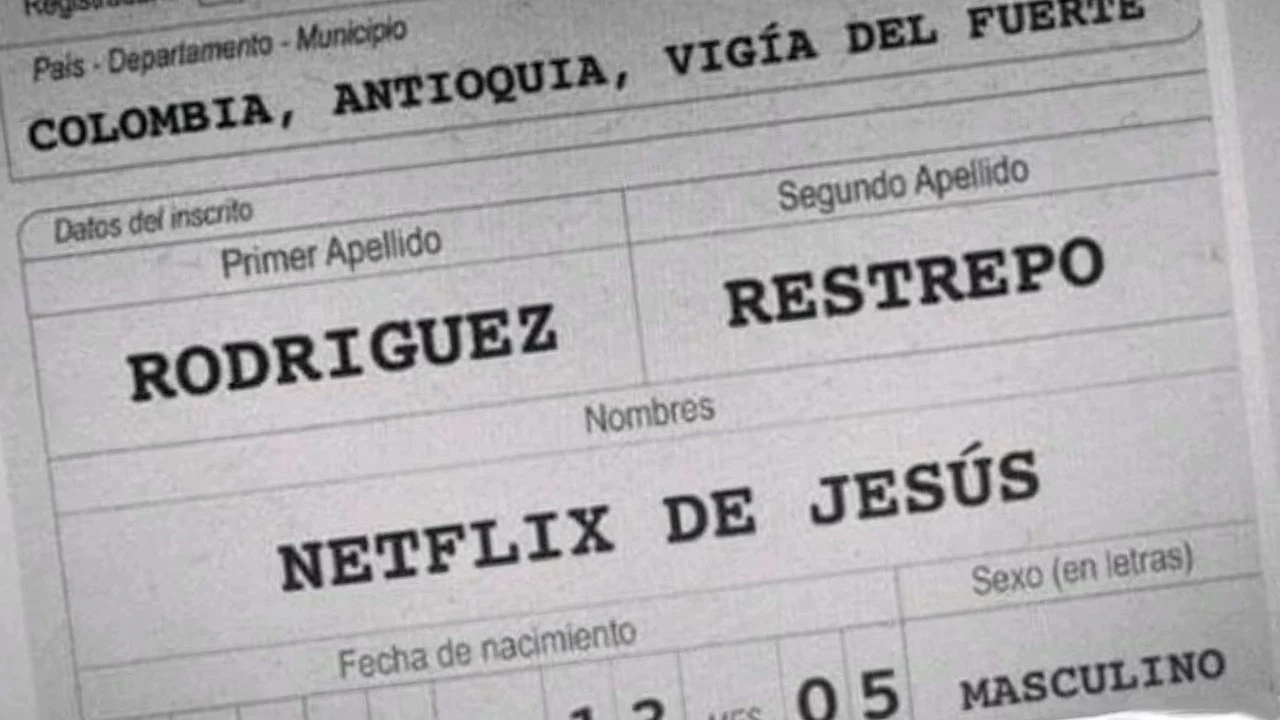 netflixrc_portada.webp