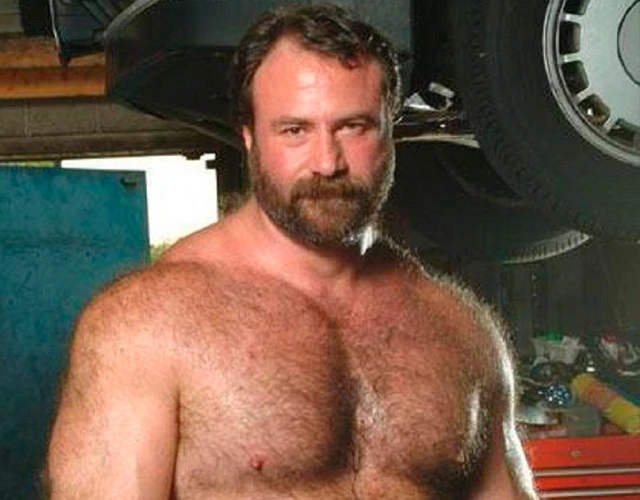 osos-gay.webp