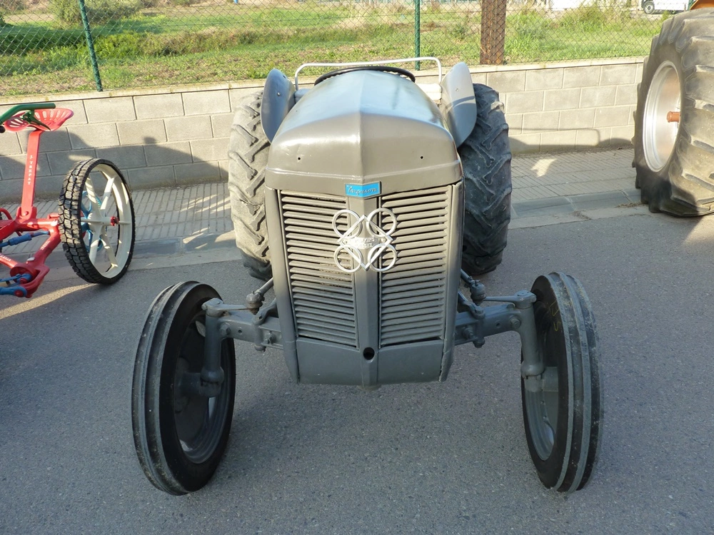 P1370773.webp