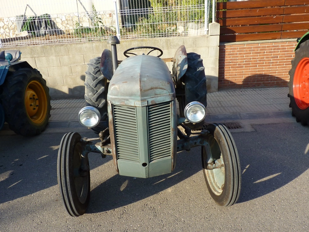 P1370801.webp