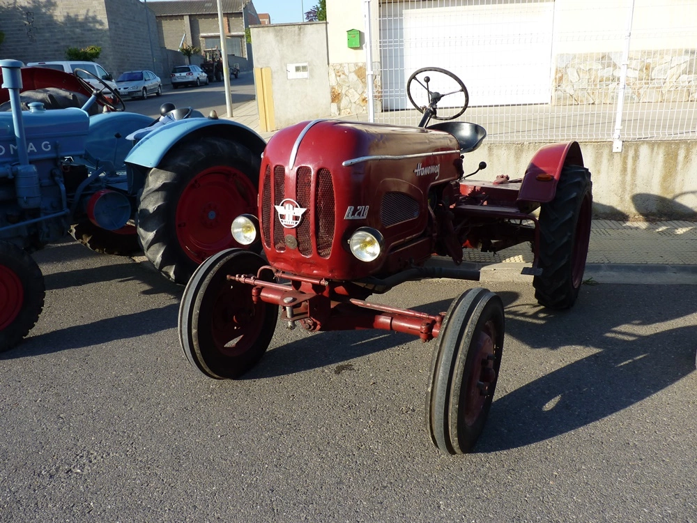 P1370817.webp