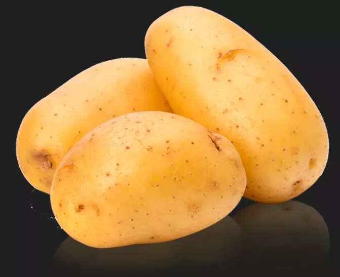 Patata.webp