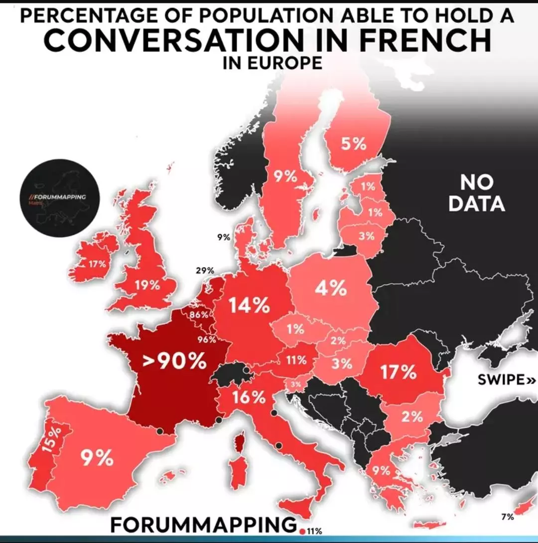 percentage-of-english-french-german-spanish-italian-and-v0-pzq6rvtfvuac1.webp