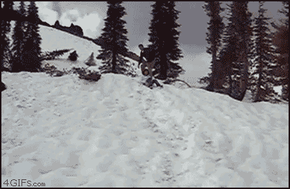 perro folla esquiadora..gif