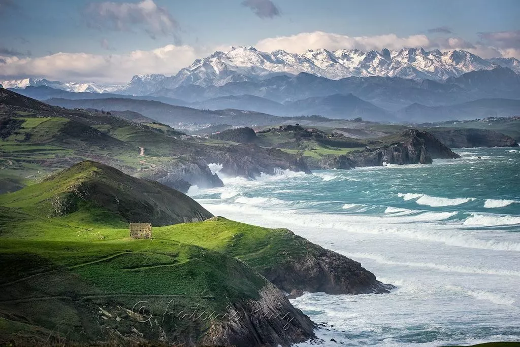 picos.webp