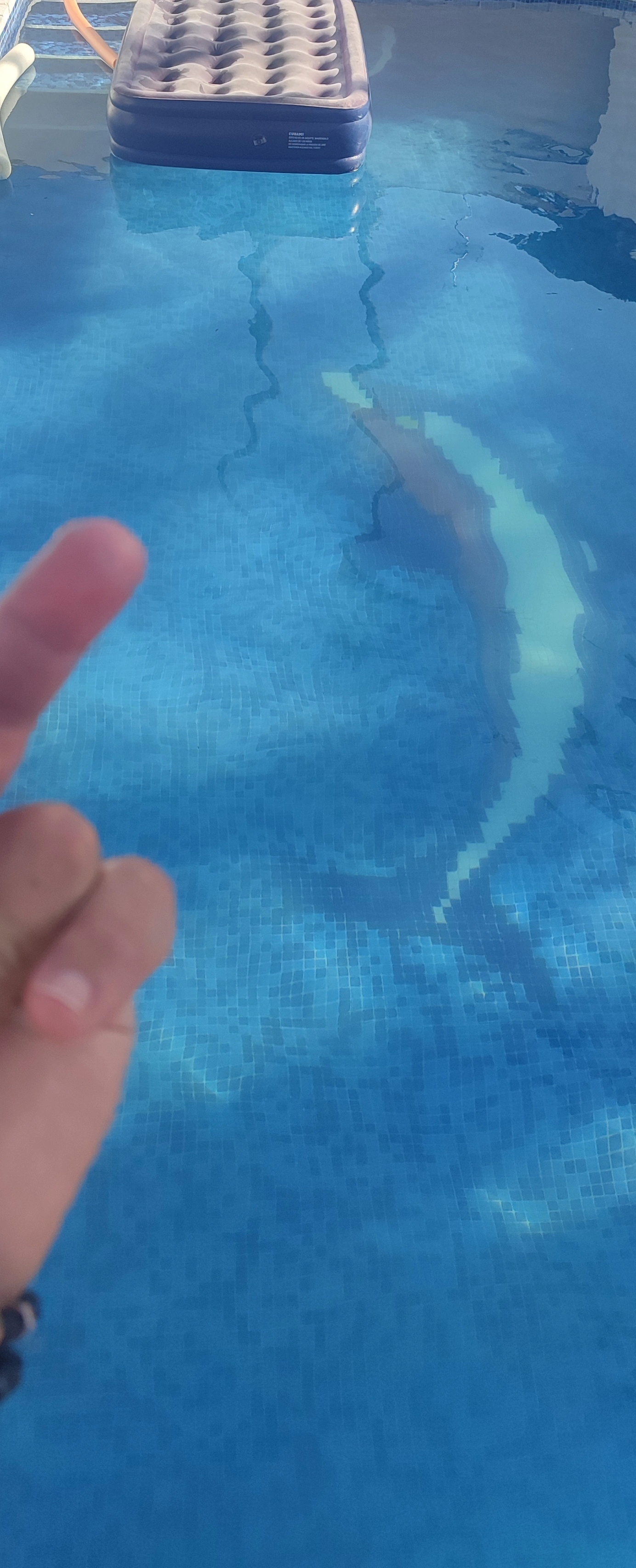 piscina.webp