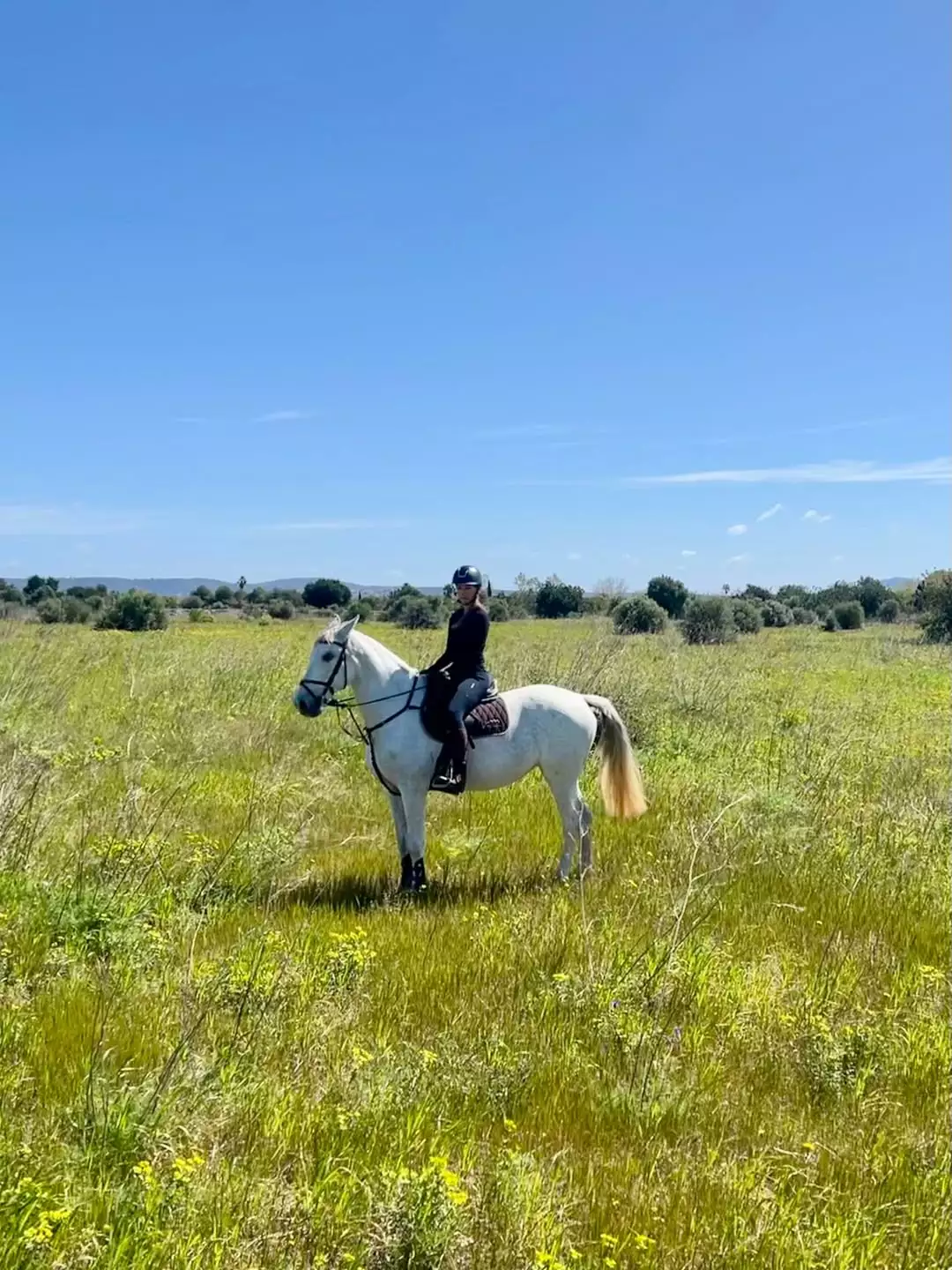Planazo en Mallorca ✨Aunque echo muchísimo de menos a Tor, hoy he podido disfrutar de un pase...webp
