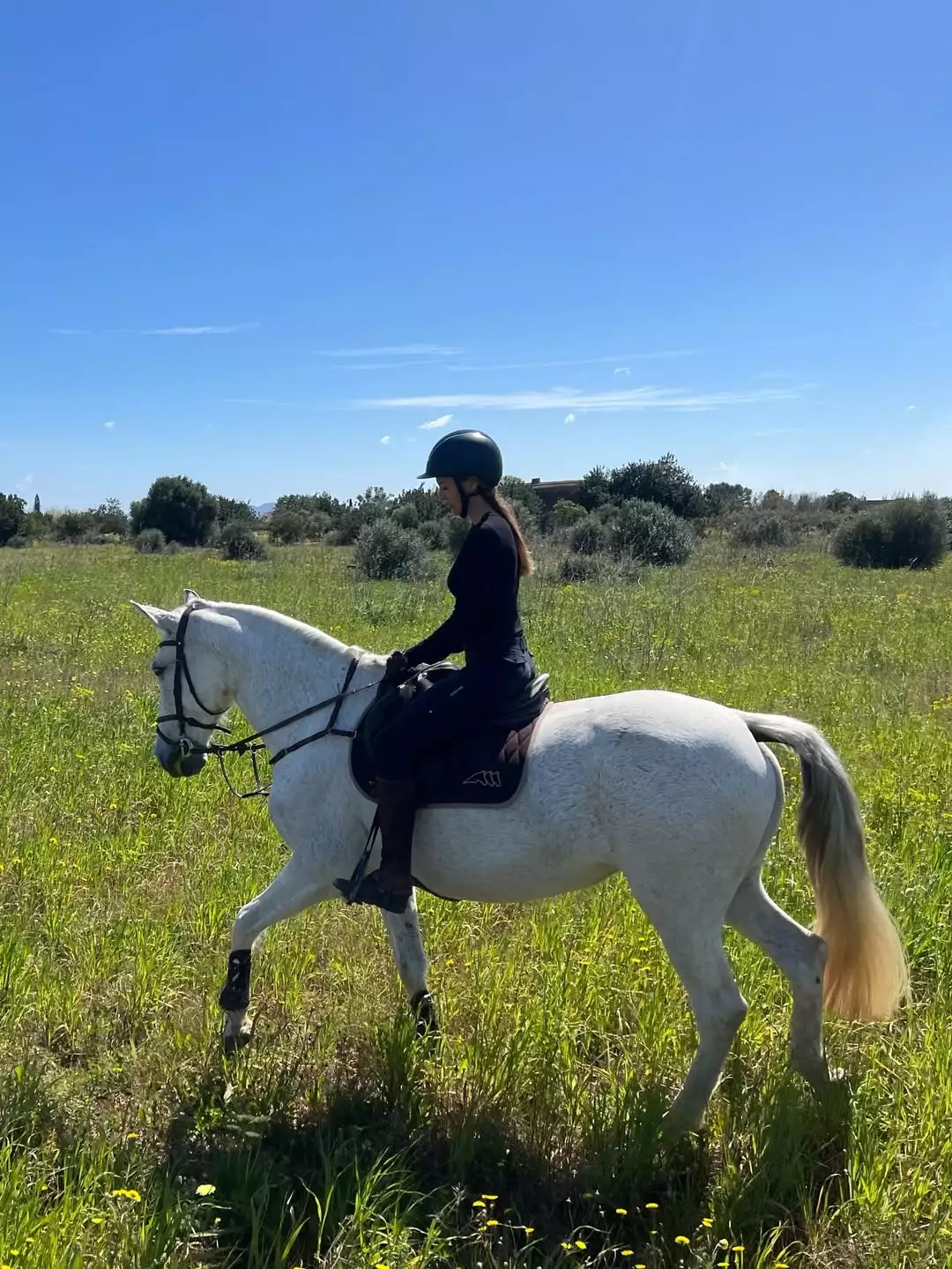 Planazo en Mallorca ✨Aunque echo muchísimo de menos a Tor, hoy he podido disfrutar de un pase...webp