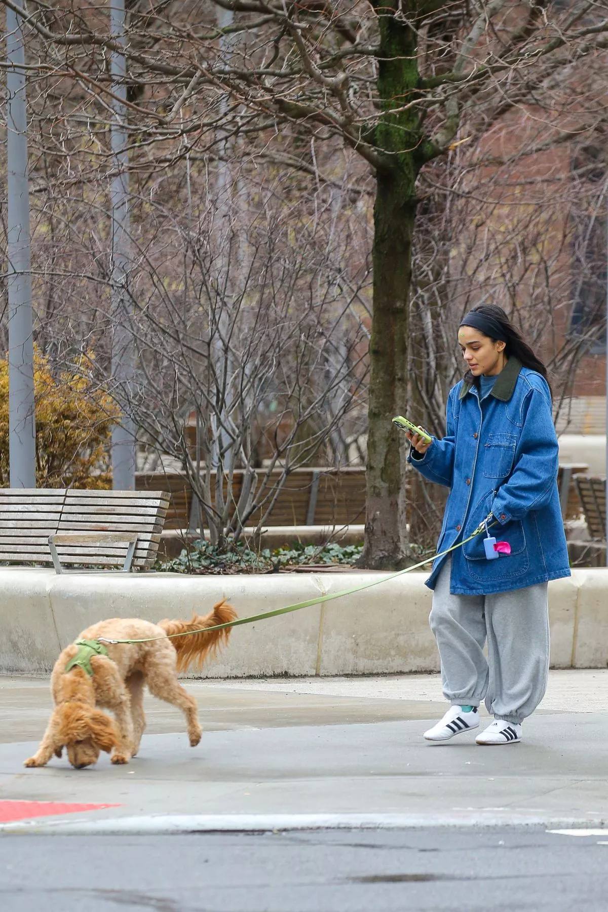 rachel-zegler-out-with-her-dog-in-new-york-04-06-2025-0.webp