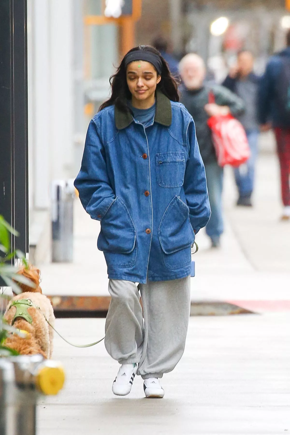 rachel-zegler-out-with-her-dog-in-new-york-04-06-2025-5.webp