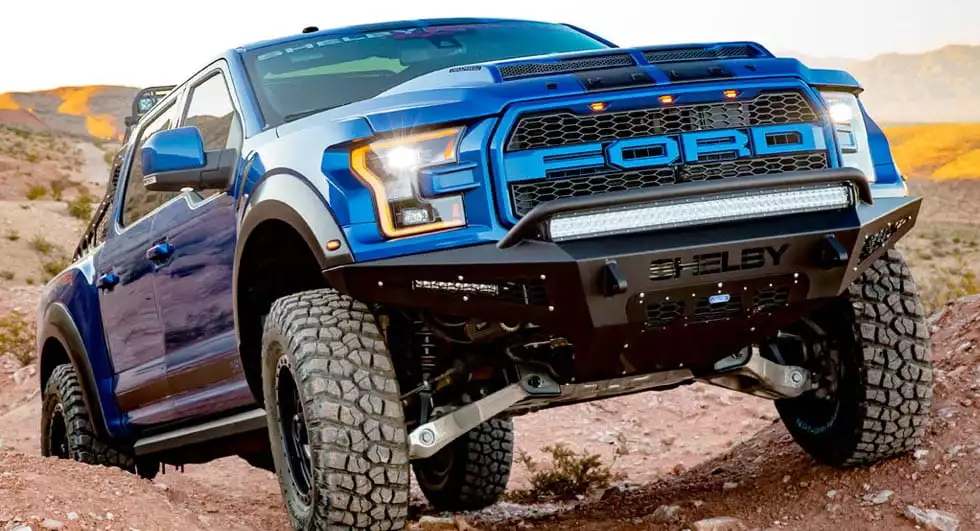 raptor.webp