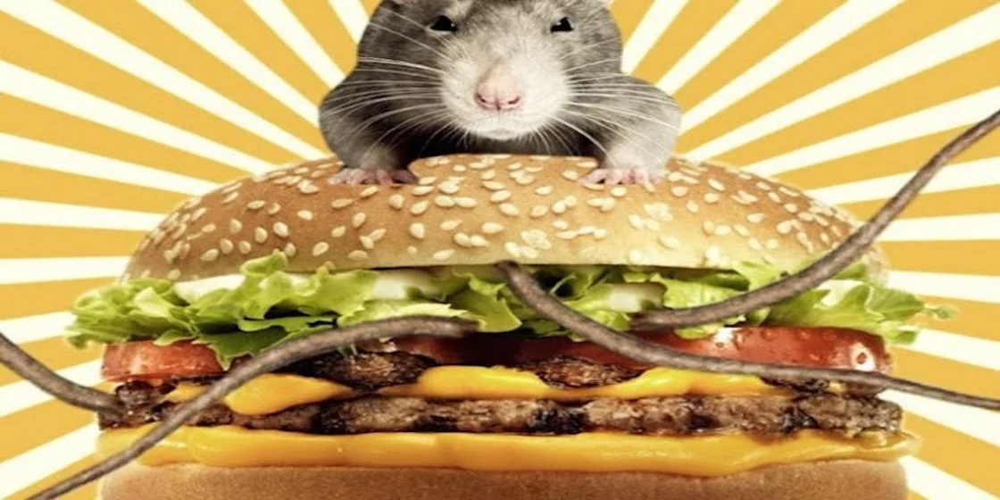 rata-en-hamburguesa-3973771480.webp