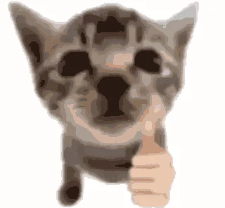 RDT_20230921_0004164315362363801932973.webp