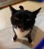 RDT_20230921_0004203705266423059527688.webp