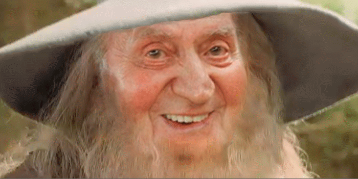 referendumya_reygandalf.gif