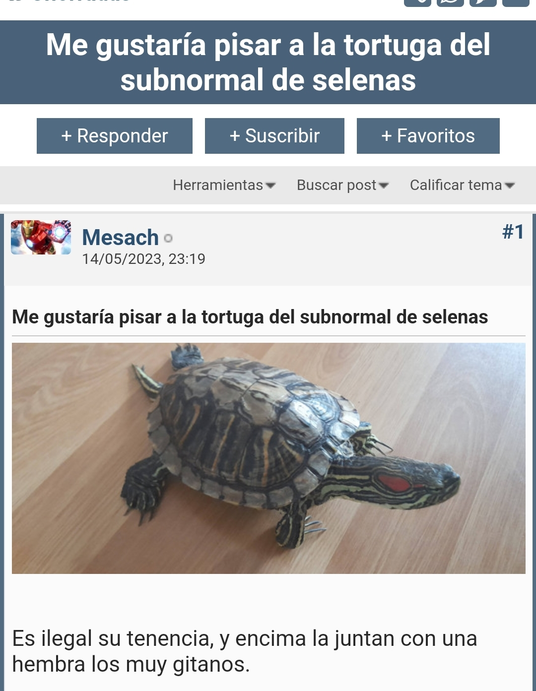 Screenshot_2023-09-28-09-55-57-657_com.android.chrome-edit.webp