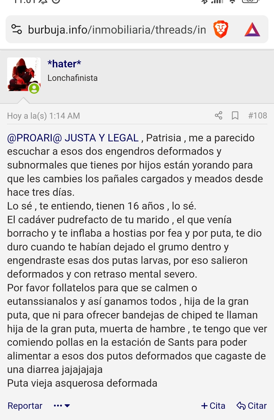 Screenshot_2024-04-14-11-01-09-419_com.brave.browser-edit.webp