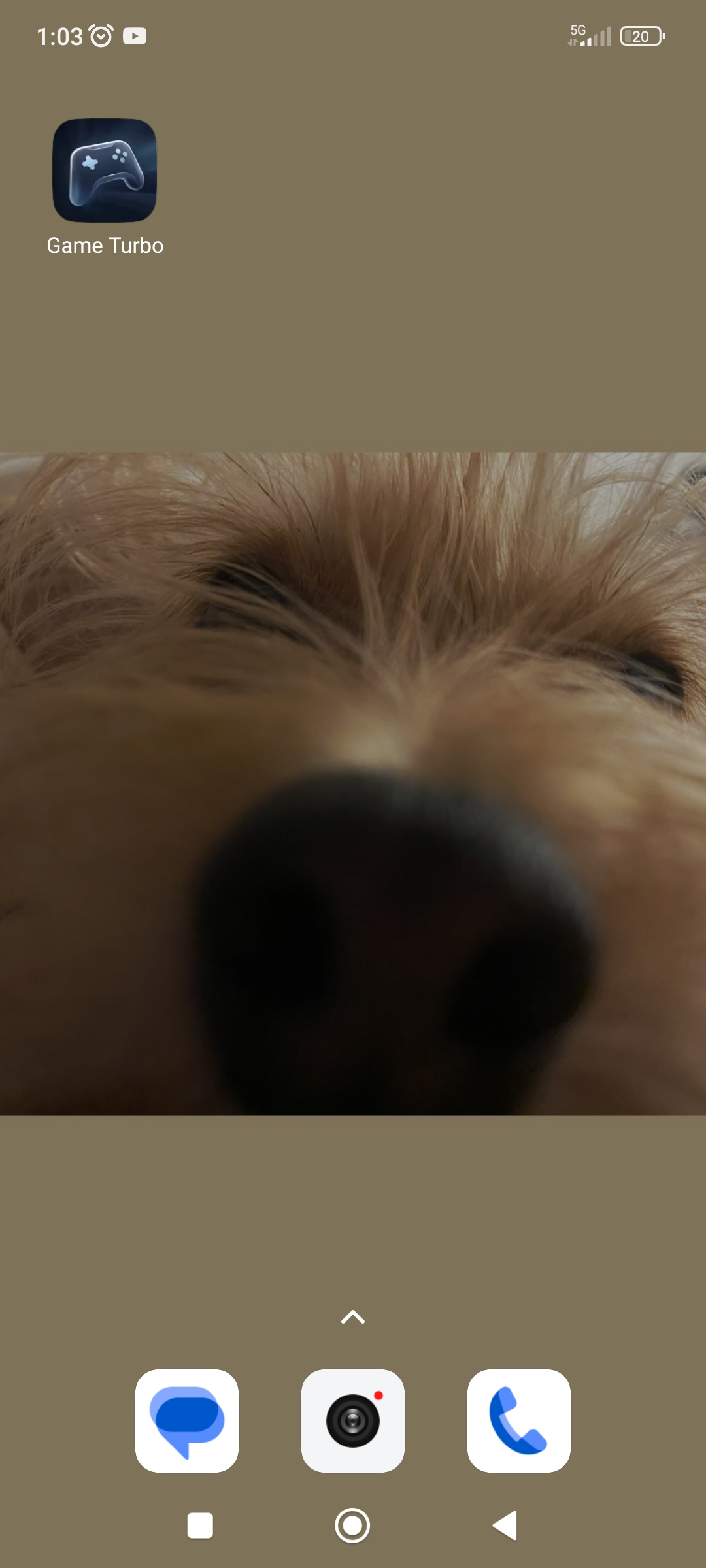 Screenshot_2024-08-08-01-03-19-206_com.miui.home.webp
