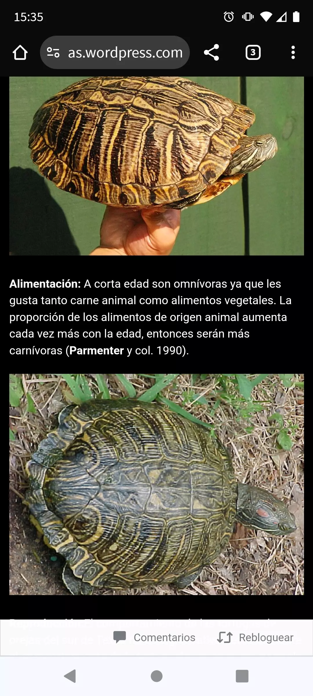 Screenshot_20240324-153516.webp