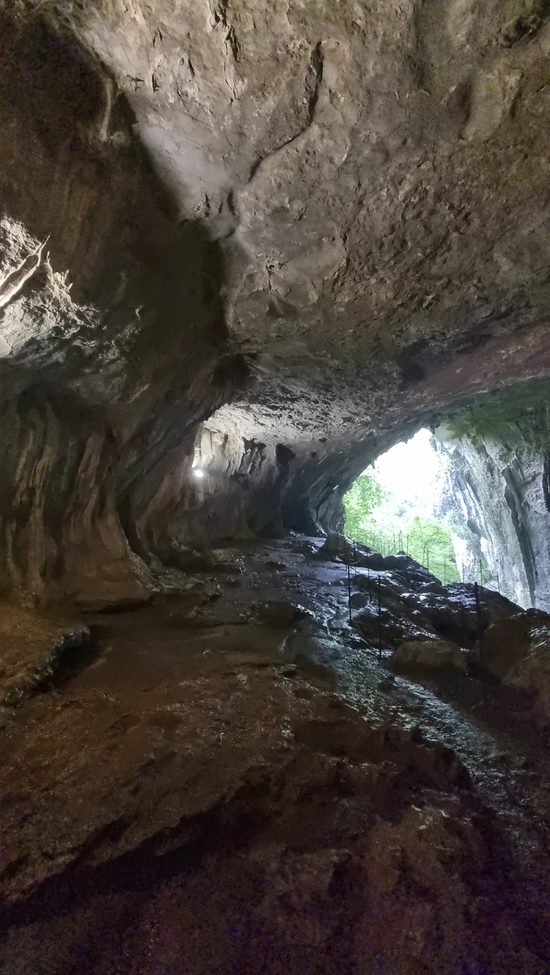 Screenshot_20241123_232932_Gallery.jpg