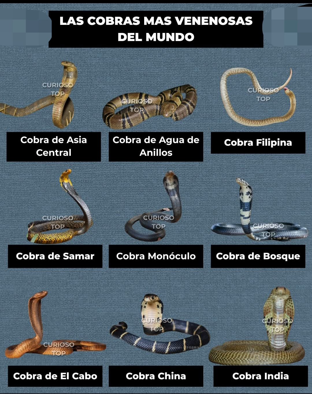 Screenshot_2025-10-07-10-24-31-874-edit_com.facebook.katana.webp