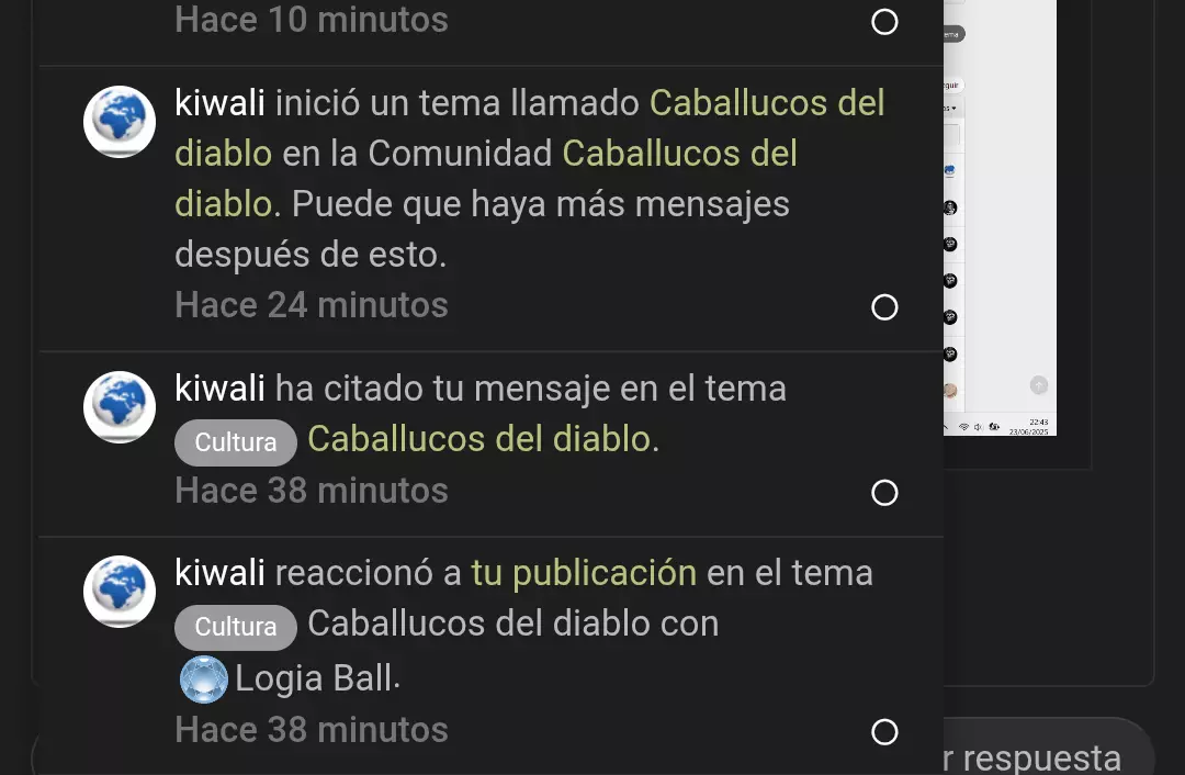 Screenshot_20250623-225040~2.webp