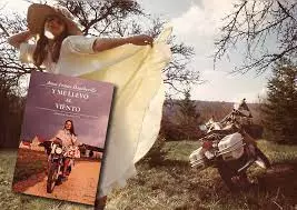 Sin título.webp