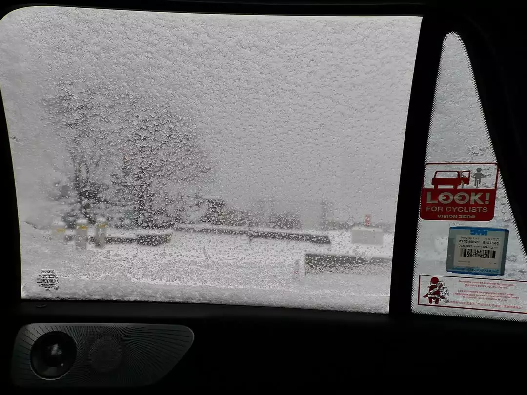 Snow day time capsule (1).webp