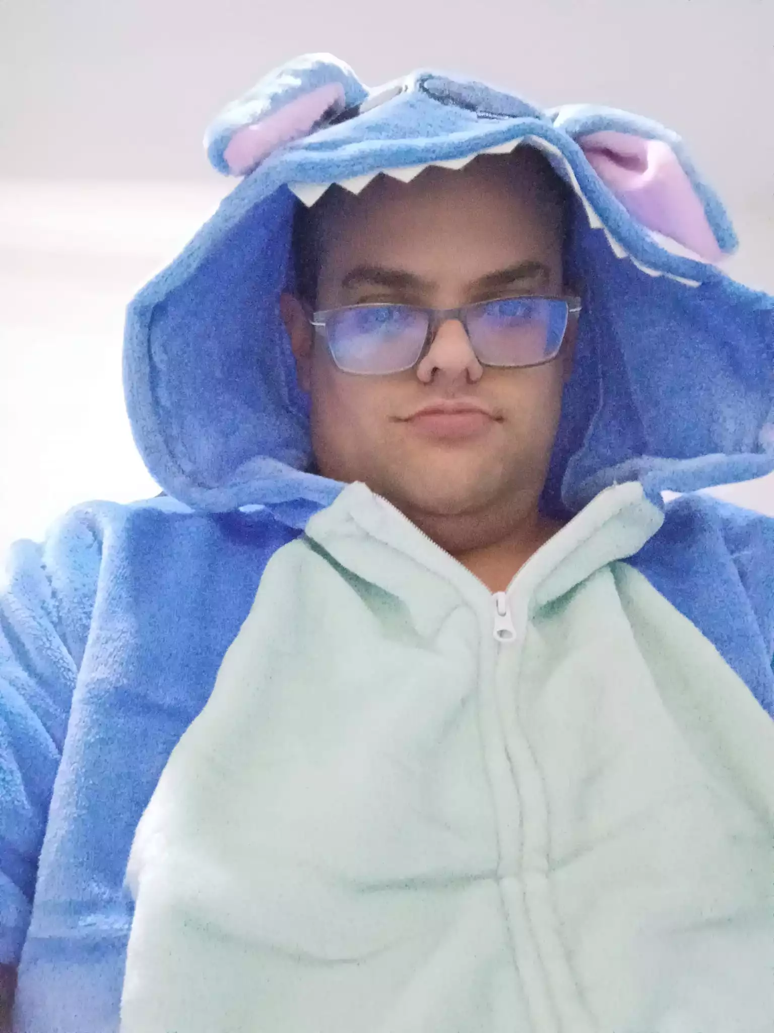 stitch.webp
