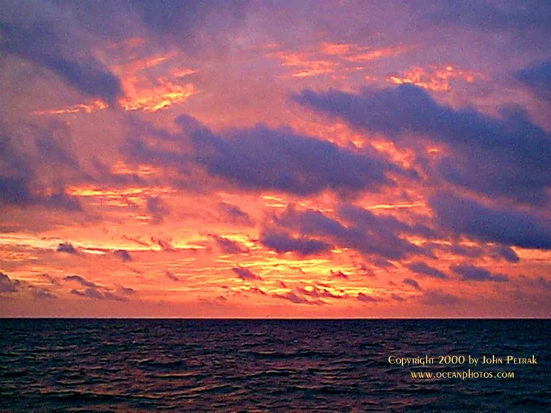 sunrise-reinasm.webp