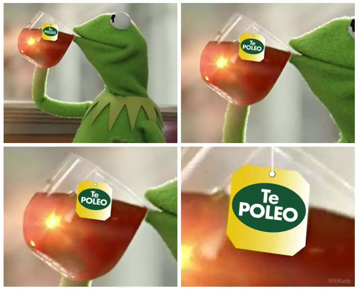 @Te Poleo.webp