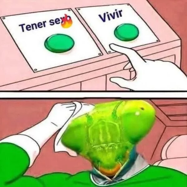 tener sexo.webp