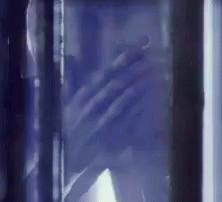 tenor (1) (1).gif