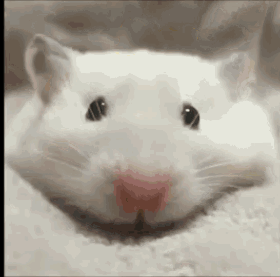 tenor-3435718768.gif
