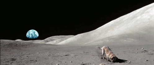 tenor.reduced2.gif.7f8ebabce56adbd048c5f28529da8e42.gif