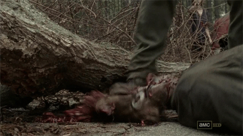 The_Walking_Dead_Smash_Head.gif