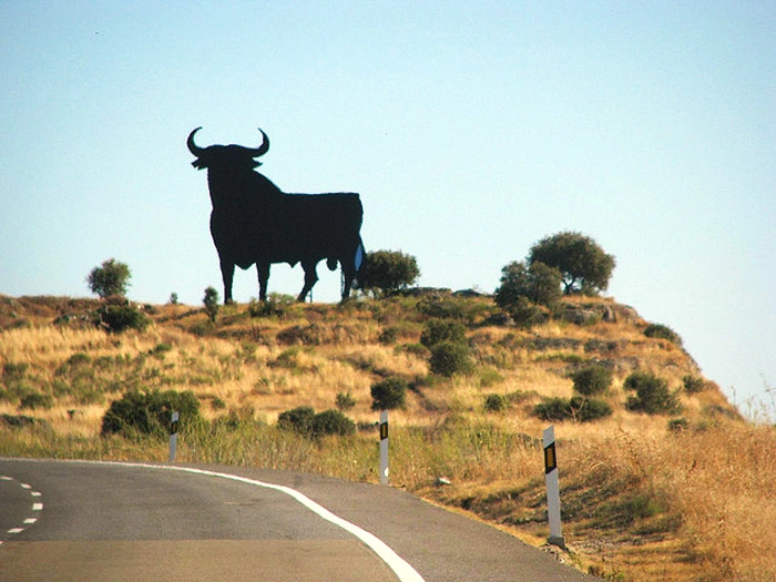 Toro.webp