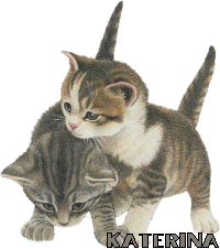 TTZKUQHKKSD6CMKQRV2KOW3L3YC55G5X.gif