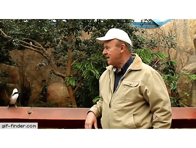 Tumblr_l_124041734653546.gif