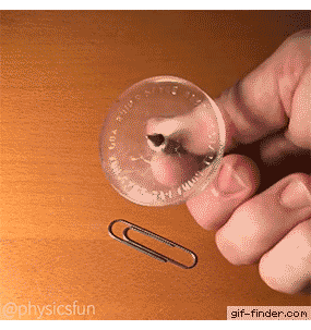 Tumblr_l_124077594921010.gif