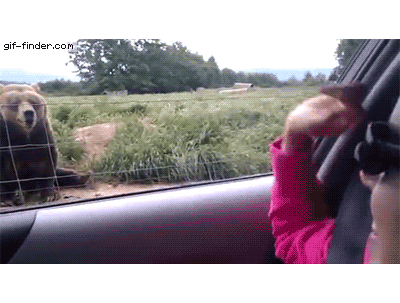 Tumblr_l_125684205895183.gif