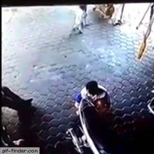 Tumblr_l_126215126965137.gif
